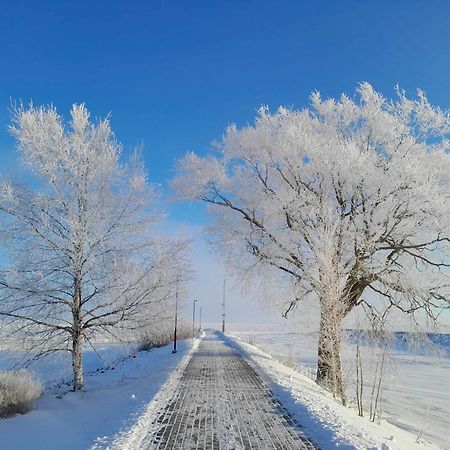Mustvee Puhkemaja Villa Buitenkant foto
